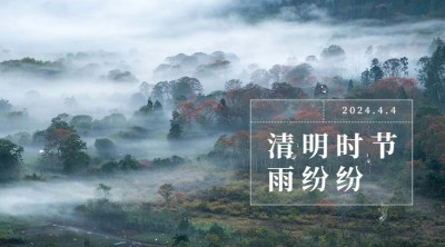 清明时节节气祝福雨纷纷横版海报