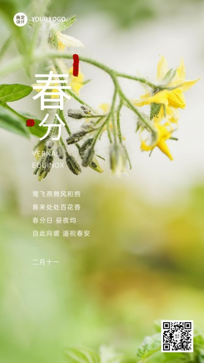 春分金融保险节气祝福实景海报