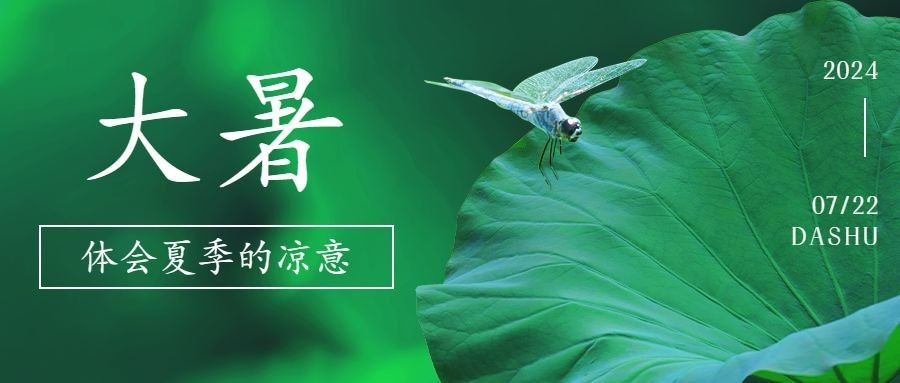 大暑节气荷叶绿植夏日公众号首图