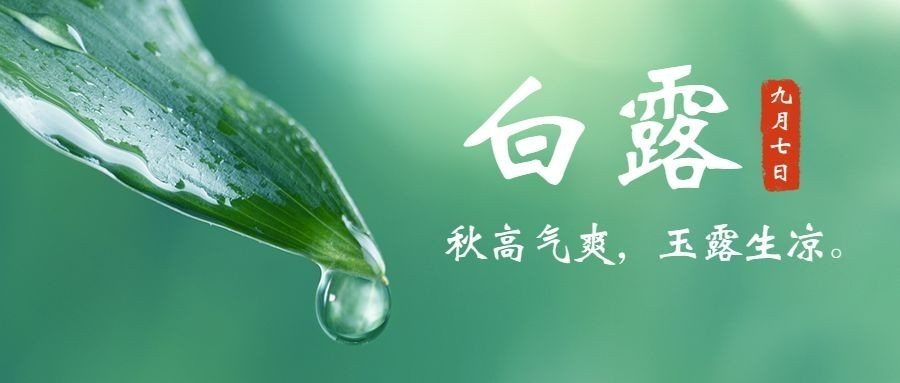 白露节气早安你好祝福公众号首图