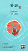 模板缩略图