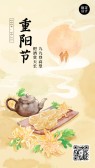 模板缩略图