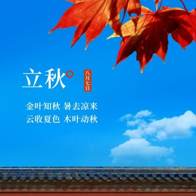 立秋节气祝福秋天实景枫叶方形海报