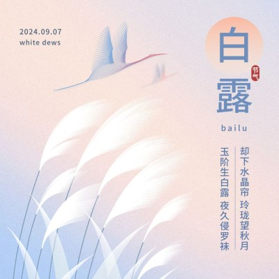 白露节气祝福问候手绘方形海报