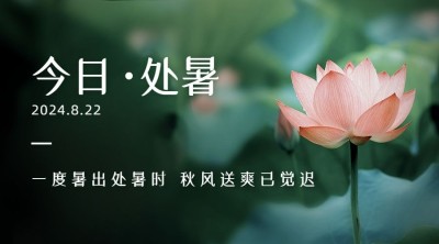 处暑节气莲花实景秋天横版海报