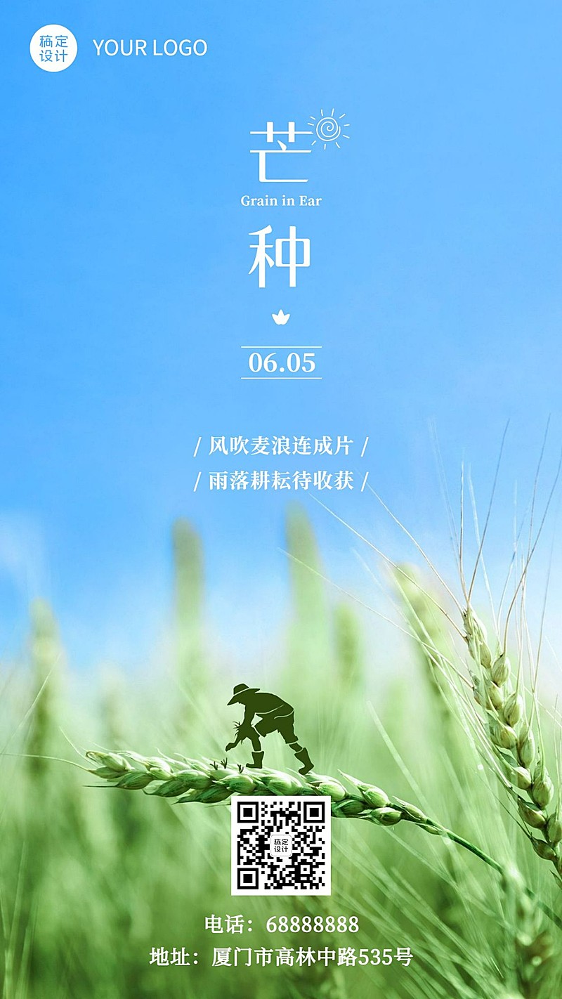 芒种节气祝福问候实景手机海报