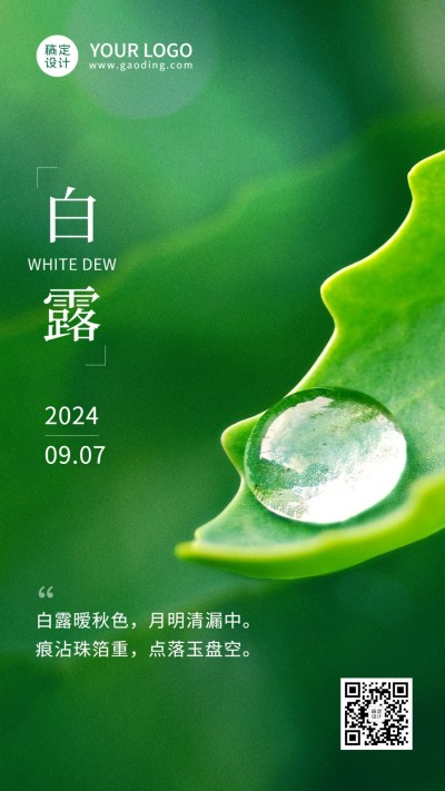 白露节气祝福露珠绿叶手机海报