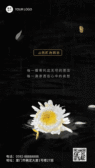模板缩略图