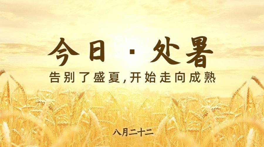 处暑节气秋天稻田农耕横版海报预览效果