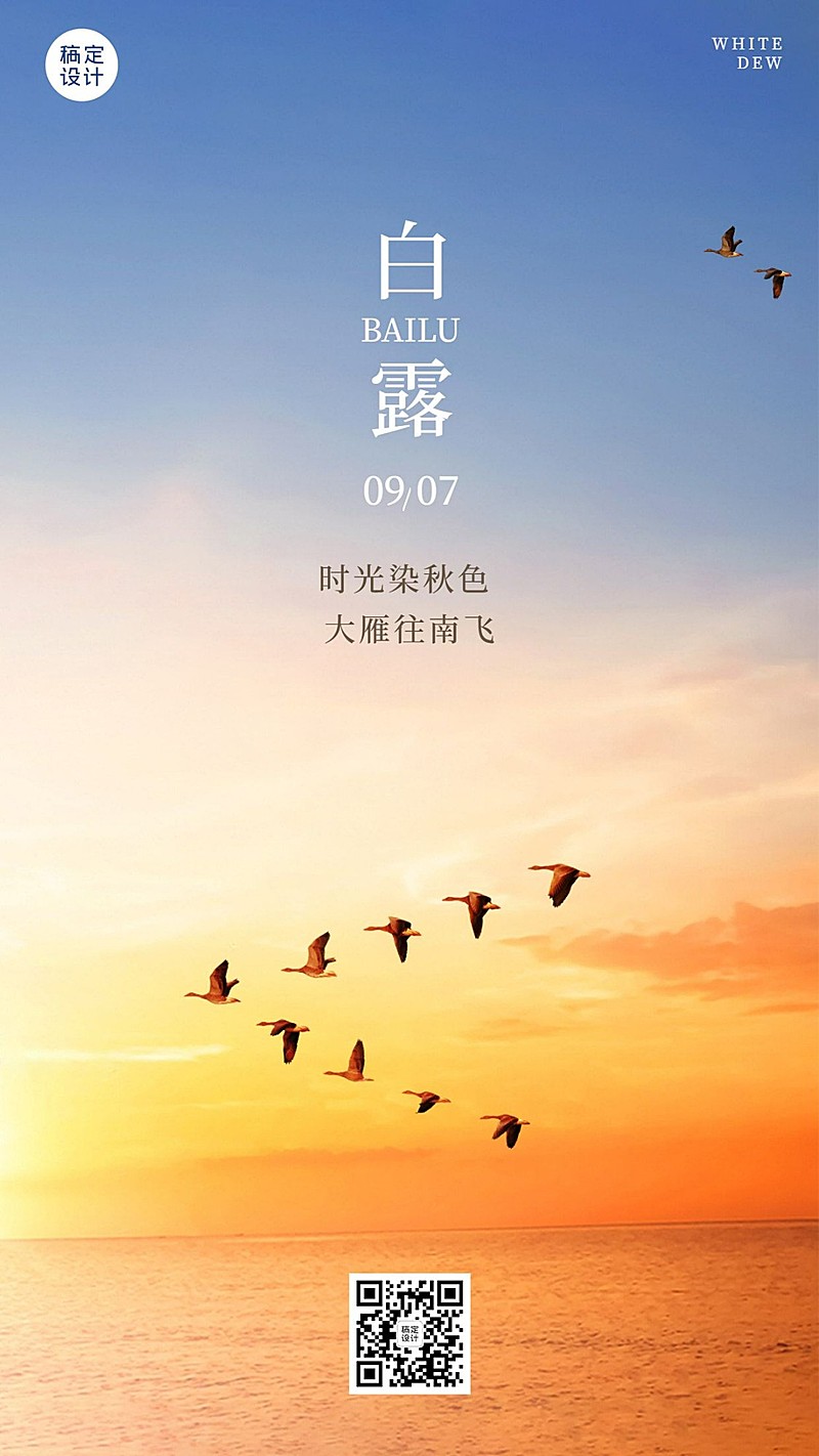 白露节气祝福实景白鹭手机海报
