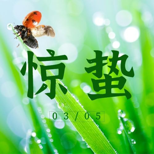 惊蛰节气问候祝福实景公众号次图预览效果