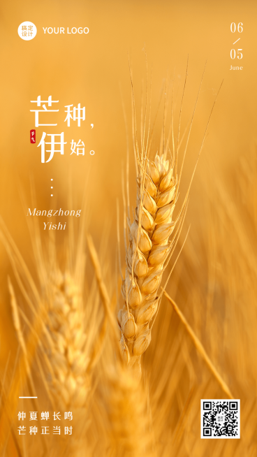 芒种节气祝福排版手机海报预览效果