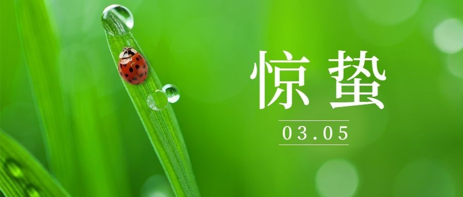 惊蛰节气祝福问候实景公众号首图预览效果