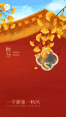 模板缩略图