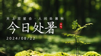 处暑节气祝福问候实景横版海报