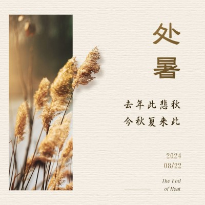 处暑节气祝福问候实景方形海报
