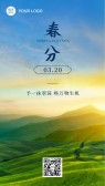 模板缩略图