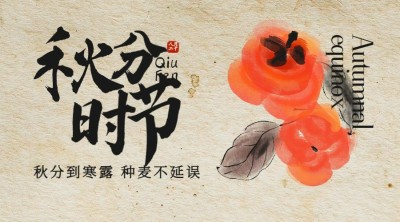 通用秋分节气问候广告banner