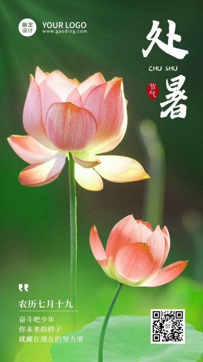 处暑莲花实景风节气全屏祝福