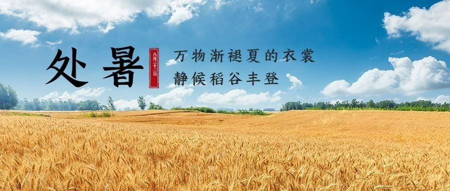 处暑节气祝福稻田秋天公众号首图