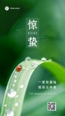 模板缩略图