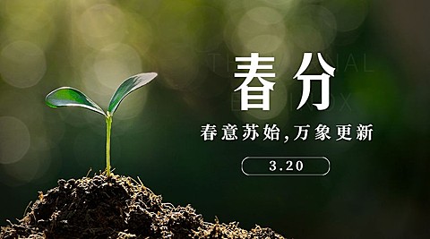 春分节气问候祝福春天你好横版海报