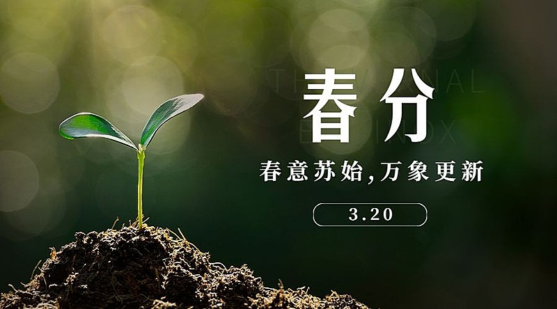 春分节气问候祝福春天你好横版海报
