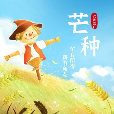 芒种节气祝福问候稻草人方形海报