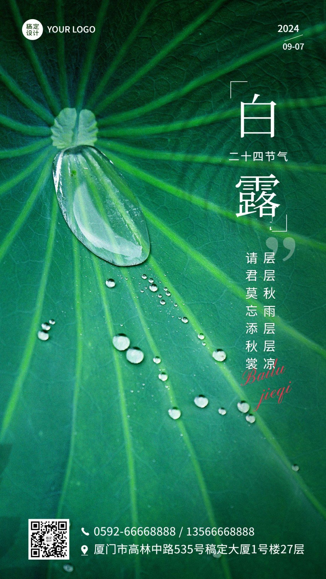 白露节气祝福企业节气问候实景排版手机海报预览效果