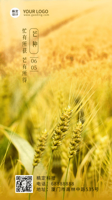 芒种节气祝福问候实景动态海报预览效果