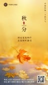 模板缩略图