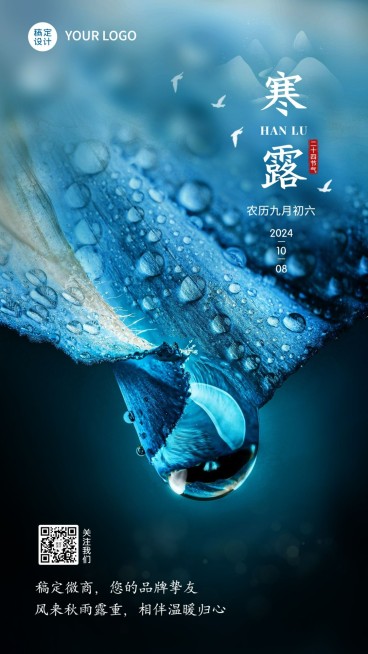 寒露节气祝福问候实景简约手机海报预览效果