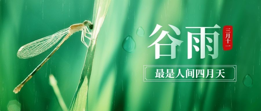 谷雨节气春天自然公众号首图预览效果