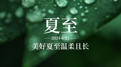 夏至节气绿植祝福问候横版海报