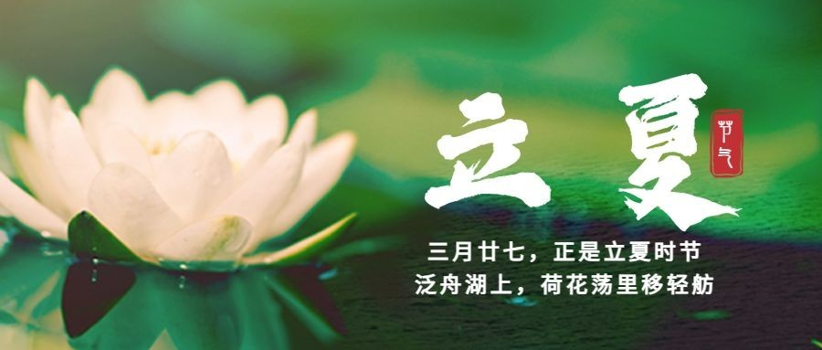 立夏节气祝福夏天莲花公众号首图预览效果