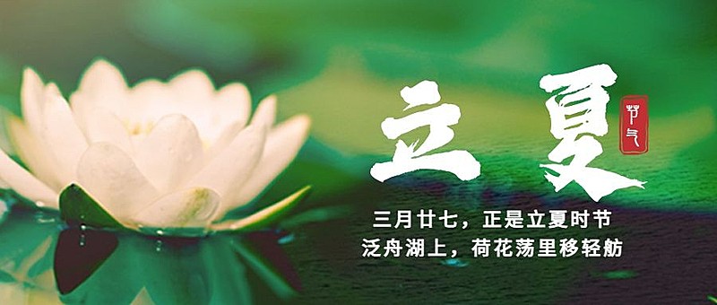 立夏节气祝福夏天莲花公众号首图
