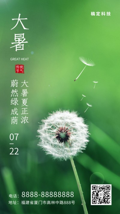 大暑节气蒲公英绿植夏日手机海报