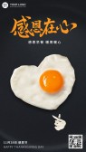 模板缩略图