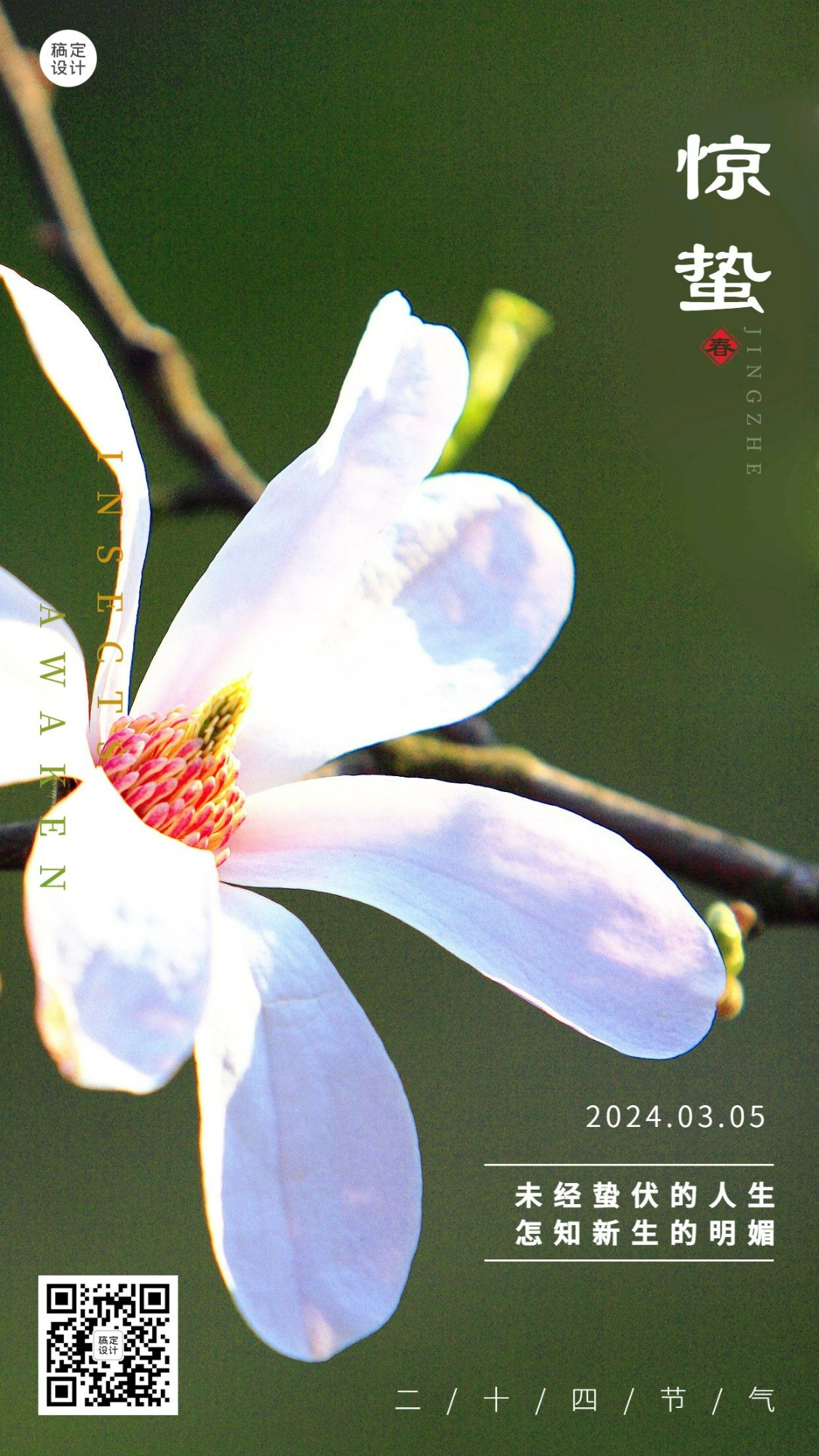 惊蛰节气祝福实景手机海报白色花朵预览效果