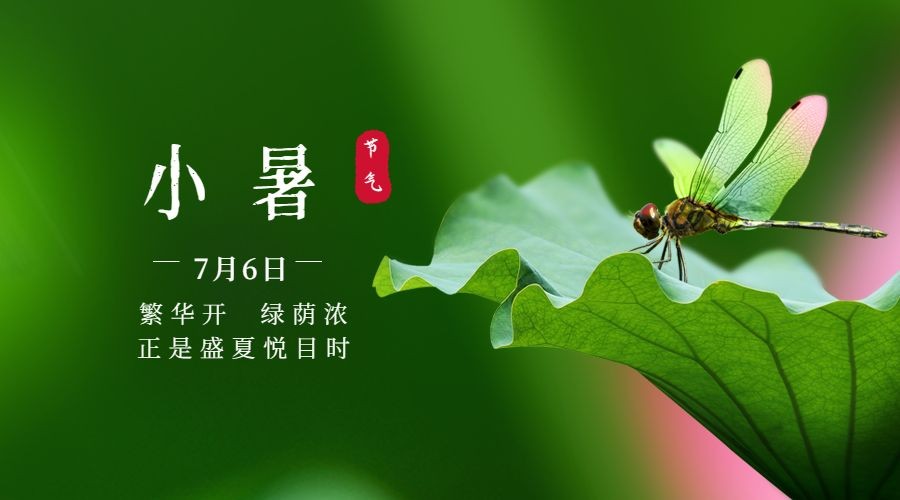 小暑节气祝福蜻蜓夏天海报海报