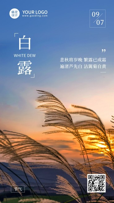白露节气祝福问候实景手机海报预览效果