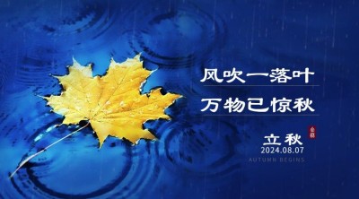 立秋节气祝福问候实景枫叶横版海报