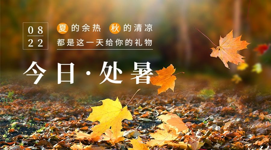 处暑节气秋天枫叶落叶实景横版海报