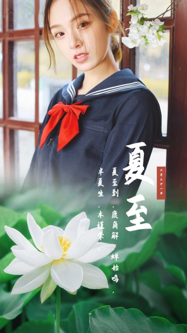 夏至节气二十四节气文艺唯美海报预览效果
