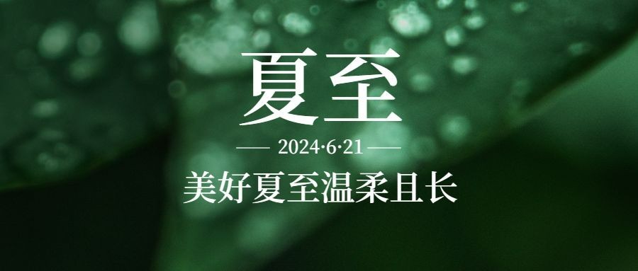 夏至节气绿植祝福问候公众号首图