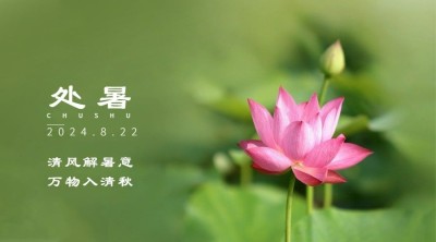 处暑节气祝福秋天实景横版海报