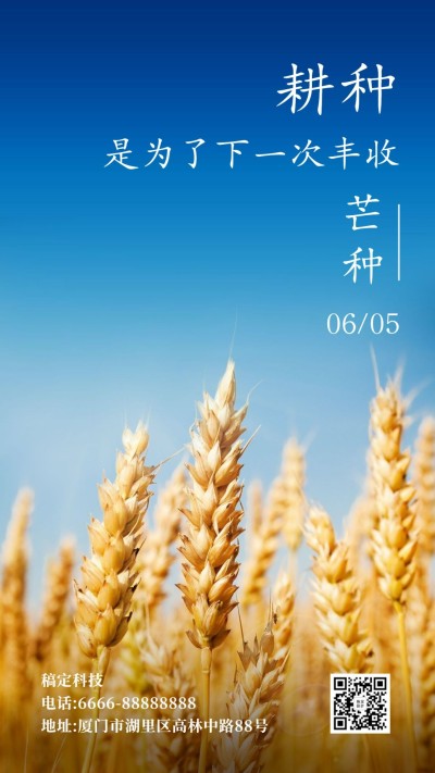 节气金句稻田清新实景框线手机海报