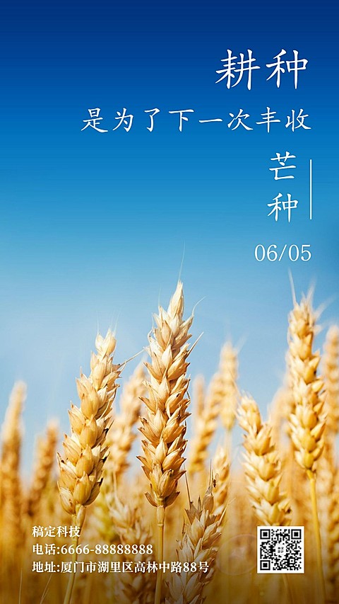 节气金句稻田清新实景框线手机海报
