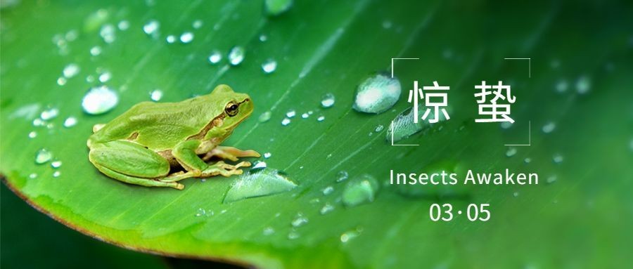 惊蛰公众号首图