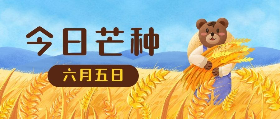芒种节气稻穗熊插画公众号首图